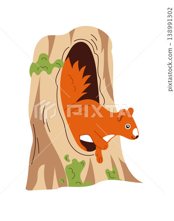 Cute red squirrel in a tree hollow, cartoon forest animal character, adorable woodland wildlife illustration, childish design, flat vector isolated on white background. Cute red squirrel in a tree hollow, cartoon forest animal character, adorable woodland wildlife illustration, childish design, flat vector isolated on white background. 138991302