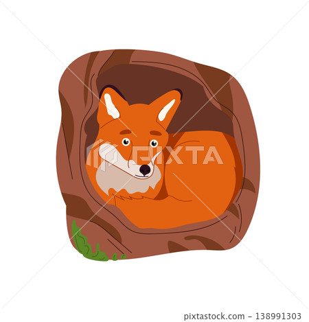 Cute fox in a tree hollow, adorable cartoon forest animal character, woodland fauna illustration, children's design, flat vector isolated on white background. Cute fox in a tree hollow, adorable cartoon forest animal character, woodland fauna illustration, children's design, flat vector isolated on white background. 138991303