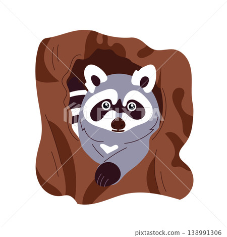 A cute raccoon peeking out from a tree hollow. Vector flat illustration, forest animal in a woodland habitat, cartoon style, wildlife clip art design. A cute raccoon peeking out from a tree hollow. Vector flat illustration, forest animal in a woodland habitat, cartoon style, wildlife clip art design. 138991306