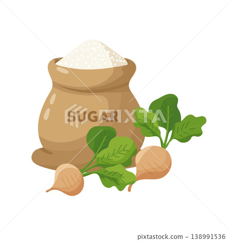 Sugar bag with white granulated sugar and fresh sugar beet, natural sweetener concept, flat vector illustration isolated on white background. Sugar bag with white granulated sugar and fresh sugar beet, natural sweetener concept, flat vector illustration isolated on white background. 138991536