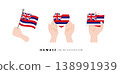 [Hawaii] Hand and flag icon vector illustration 138991939