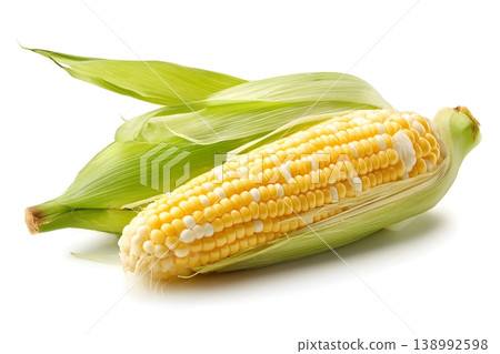 Fresh corn on the cob with green husks on a white background 138992598