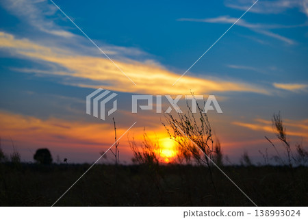 Breathtaking Sunset Landscape Featuring Silhouetted Plants and Branches in a Field at Dusk with Vibrant Orange and Yellow Colors in the Sky and Warm Glow on the Horizon 138993024