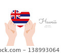 [Hawaii] Hand and flag icon vector illustration 138993064