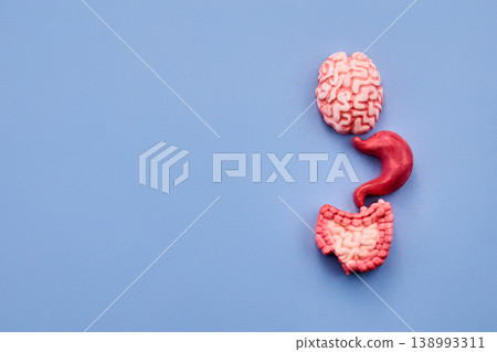 Brain, stomach, and intestine modeling the gut-brain axis 138993311