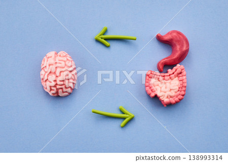 Brain and gut communication showing gut-brain axis concept 138993314