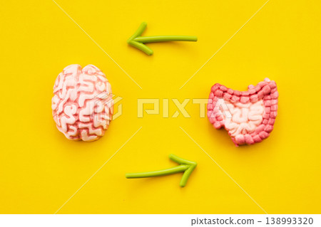 Brain and gut communication on yellow background Brain and gut communication on yellow background 138993320