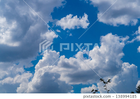 Photo of white clouds on blue sky, edges illuminated by sidelight from left. Weather phenomena, synoptic forecasts. Tree branches with green mulberry leaves are visible in foreground Photo of white clouds on blue sky, edges illuminated by sidelight from left. Weather phenomena, synoptic forecasts. Tree branches with green mulberry leaves are visible in foreground 138994185