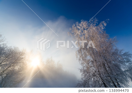 Frost-covered trees illuminated by sunlight in misty winter Frost-covered trees illuminated by sunlight in misty winter 138994470