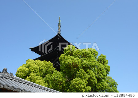 京都市南區九條町新綠的東寺、五層塔 京都市南區九條町新綠的東寺、五層塔 138994496