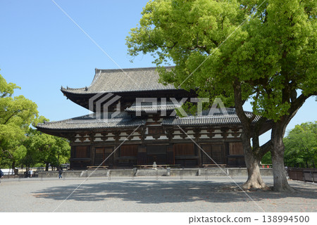 春意盎然的東寺:京都市南區九條町正殿 春意盎然的東寺:京都市南區九條町正殿 138994500