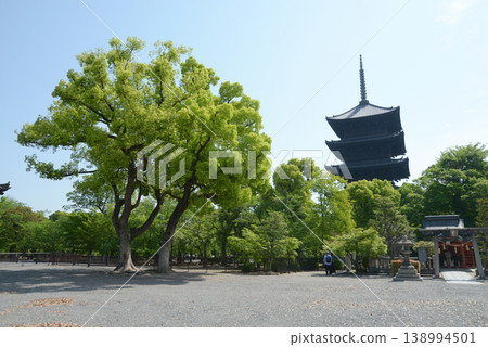 京都市南區九條町新綠的東寺、五層塔 京都市南區九條町新綠的東寺、五層塔 138994501