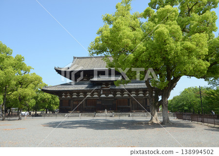 Toji Temple in the fresh green of spring: Main Hall, Kujo-cho, Minami-ku, Kyoto City Toji Temple in the fresh green of spring: Main Hall, Kujo-cho, Minami-ku, Kyoto City 138994502