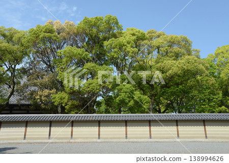 春意盎然的東寺;土牆;京都市南區九條町 春意盎然的東寺;土牆;京都市南區九條町 138994626
