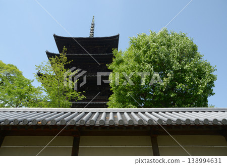 Toji Temple in the fresh greenery: Earthen walls and five-story pagoda, Kujo-cho, Minami-ku, Kyoto City Toji Temple in the fresh greenery: Earthen walls and five-story pagoda, Kujo-cho, Minami-ku, Kyoto City 138994631