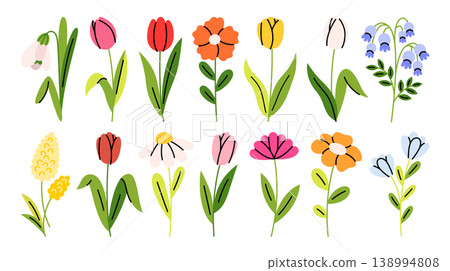 Cute set of flowers. Minimalistic icons of tulips, chamomile, snowdrop, peony, bellflower.  Simple stickers of plants for creating greeting cards, posters, invitations, social media, covers, patterns. 138994808