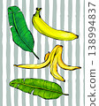 Vector illustration set featuring a slightly green whole banana, a peeled ripe banana skin, and two banana leaves arranged on a striped background. Bright tropical composition 138994837