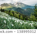 Beautiful mountain landscape with white daffodil narcissus flowers on Golica, Slovenia, at spring 138995012