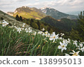 Beautiful mountain landscape with white daffodil narcissus flowers on Golica, Slovenia, at spring 138995013