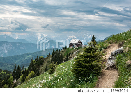 Mountain landscape with daffodil narcissus flowers and shelter house on Golica, Slovenia, at spring Mountain landscape with daffodil narcissus flowers and shelter house on Golica, Slovenia, at spring 138995014