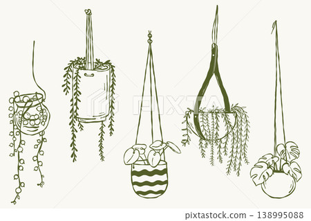 Hanging plants collection indoor greenery macrame pots line style Hanging plants collection indoor greenery macrame pots line style 138995088