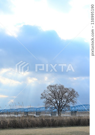The Agano River riverbed and Taihei Bridge bathed in sunlight (Niigata City, Niigata Prefecture) 138995190