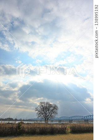 陽光灑在阿賀野川河床和太平橋上（新潟縣新潟市） 138995192