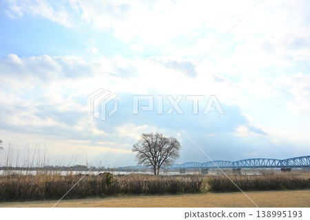 陽光灑在阿賀野川河床和太平橋上（新潟縣新潟市） 138995193