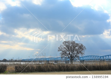 陽光灑在阿賀野川河床和太平橋上（新潟縣新潟市） 138995194