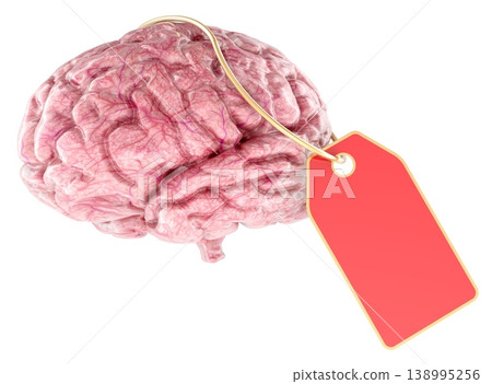 Human brain with blank red price tag. Value, pricing and commercialization of intelligence, concept. 3d rendering Human brain with blank red price tag. Value, pricing and commercialization of intelligence, concept. 3d rendering 138995256