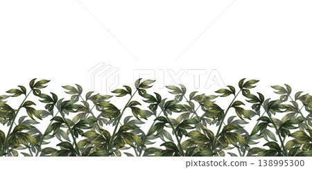 Green seamless border of peony branches, at the bottom of the frame, isolated on a white background. Watercolor botanical greenery for floral decor, wedding design, branding, packaging, wallpaper Green seamless border of peony branches, at the bottom of the frame, isolated on a white background. Watercolor botanical greenery for floral decor, wedding design, branding, packaging, wallpaper 138995300