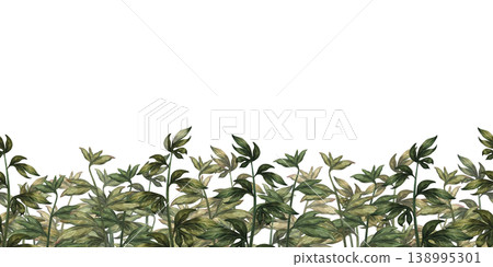 Green seamless border of peony branches, at the bottom of the frame, isolated on a white background. Watercolor botanical greenery for floral decor, wedding design, branding, packaging, wallpaper Green seamless border of peony branches, at the bottom of the frame, isolated on a white background. Watercolor botanical greenery for floral decor, wedding design, branding, packaging, wallpaper 138995301