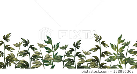 Green seamless border of peony branches, at the bottom of the frame, isolated on a white background. Watercolor botanical greenery for floral decor, wedding design, branding, packaging, wallpaper Green seamless border of peony branches, at the bottom of the frame, isolated on a white background. Watercolor botanical greenery for floral decor, wedding design, branding, packaging, wallpaper 138995302