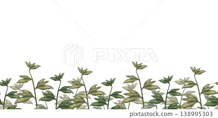 Green seamless border of peony branches, at the bottom of the frame, isolated on a white background. Watercolor botanical greenery for floral decor, wedding design, branding, packaging, wallpaper Green seamless border of peony branches, at the bottom of the frame, isolated on a white background. Watercolor botanical greenery for floral decor, wedding design, branding, packaging, wallpaper 138995303
