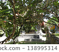 Overseas forests 138995314