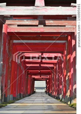 The row of torii gates and the approach to Gohei Inari Shrine (Nishi Ward, Niigata City, Niigata Prefecture) The row of torii gates and the approach to Gohei Inari Shrine (Nishi Ward, Niigata City, Niigata Prefecture) 138995691