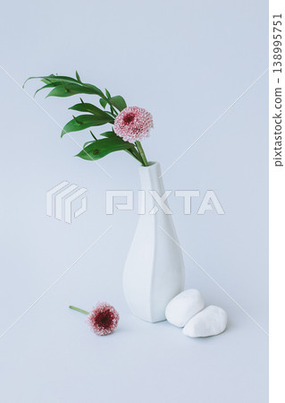 Tender branch with green leaves and pink chrysanthemum flower in a white vase on a grey background. Tender branch with green leaves and pink chrysanthemum flower in a white vase on a grey background. 138995751