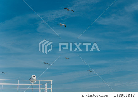 Seagulls flying in the the blue sky under the boat. 138995818