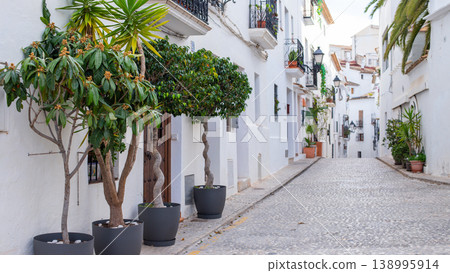 Historic Altea city street in Spain showcasing traditional whitewashed buildings, intricate wrought iron balconies, and charming potted plants along a cobblestone path during a bright day Historic Altea city street in Spain showcasing traditional whitewashed buildings, intricate wrought iron balconies, and charming potted plants along a cobblestone path during a bright day 138995914