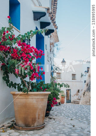 Vibrant bougainvillea thrives in a terracotta pot on a charming cobblestone street in Altea, Spain, showcasing the beauty of a Spanish holiday destination under a clear sky 138995995