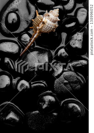 Natural Seashell Arrangement on Black Pebbles. 138996052