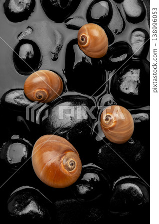 Natural Seashell Arrangement on Black Pebbles. 138996053