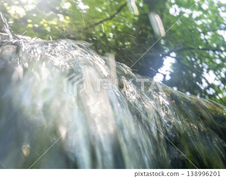 森林的新綠、清澈的溪流和生態景觀(大山木澤溪流) 森林的新綠、清澈的溪流和生態景觀(大山木澤溪流) 138996201
