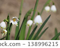 Snowflake 138996215