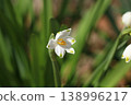 Snowflake 138996217