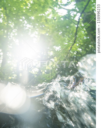 Fresh greenery in the forest, clear streams, and eco-images (Oyamakiyazawa mountain stream) 138996233