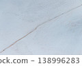 Gentoo Penguins in Antarctica 138996283