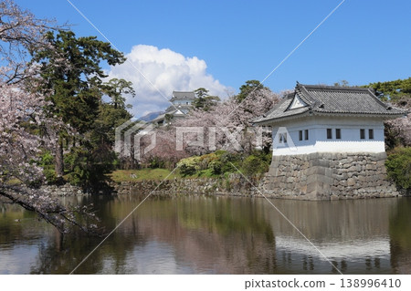 櫻花與城堡天守閣:神奈川縣小田原市小田原城 櫻花與城堡天守閣:神奈川縣小田原市小田原城 138996410