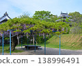 Wisteria at Nishio City Historical Park 138996491