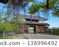 Wisteria at Nishio City Historical Park 138996492